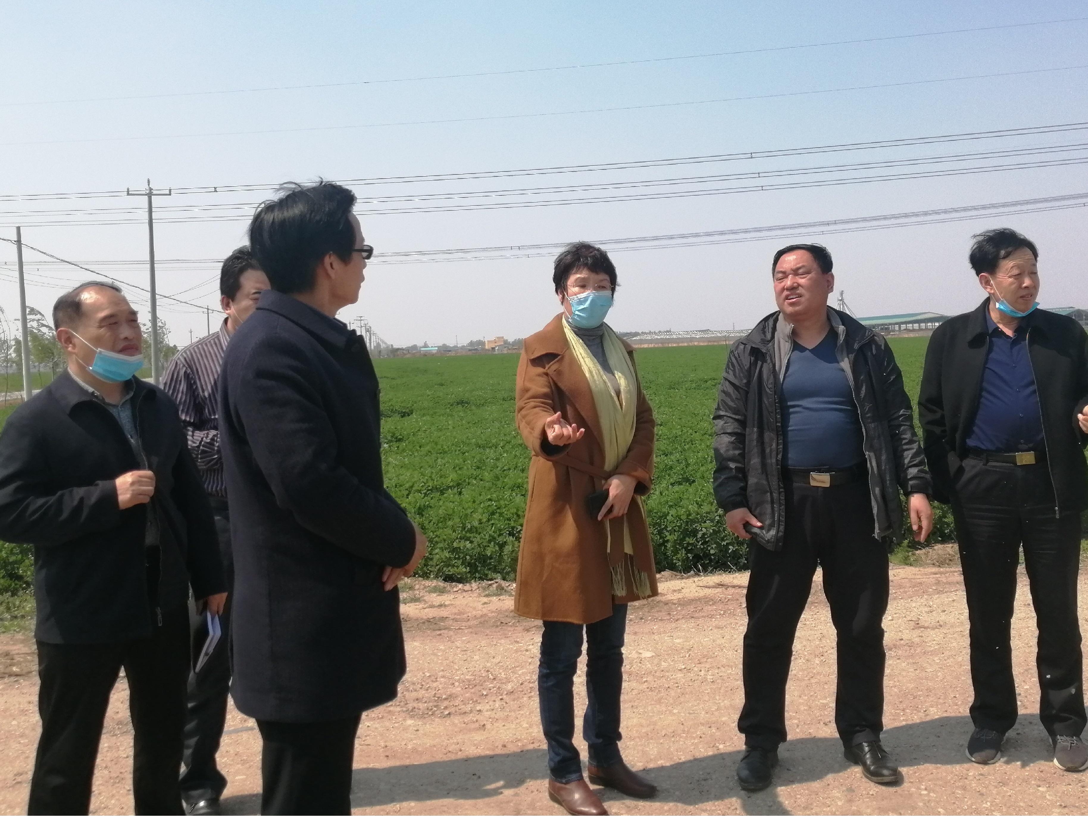 威县人民政府