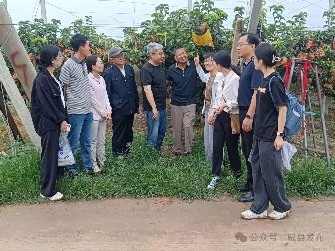 微信图片_20250630163140.jpg