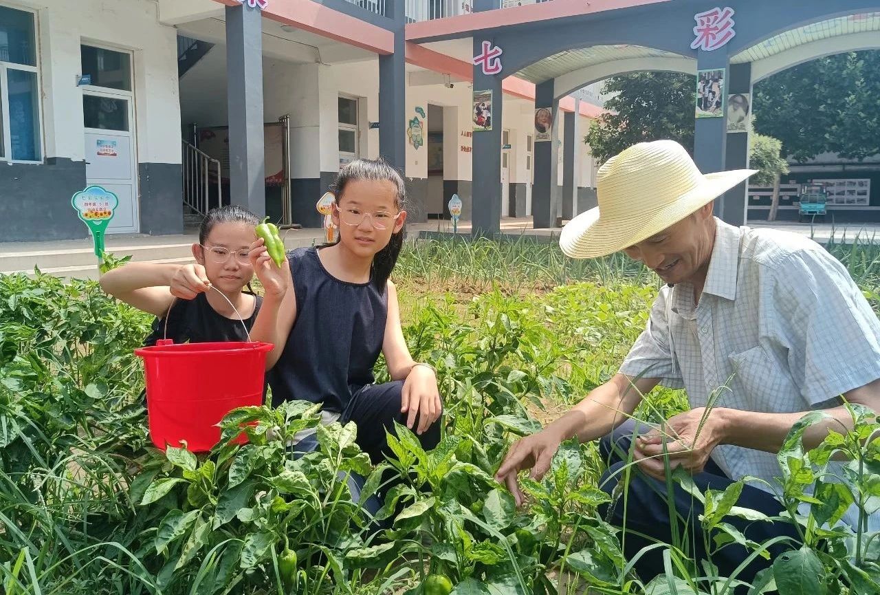 微信图片_20250708161951.jpg