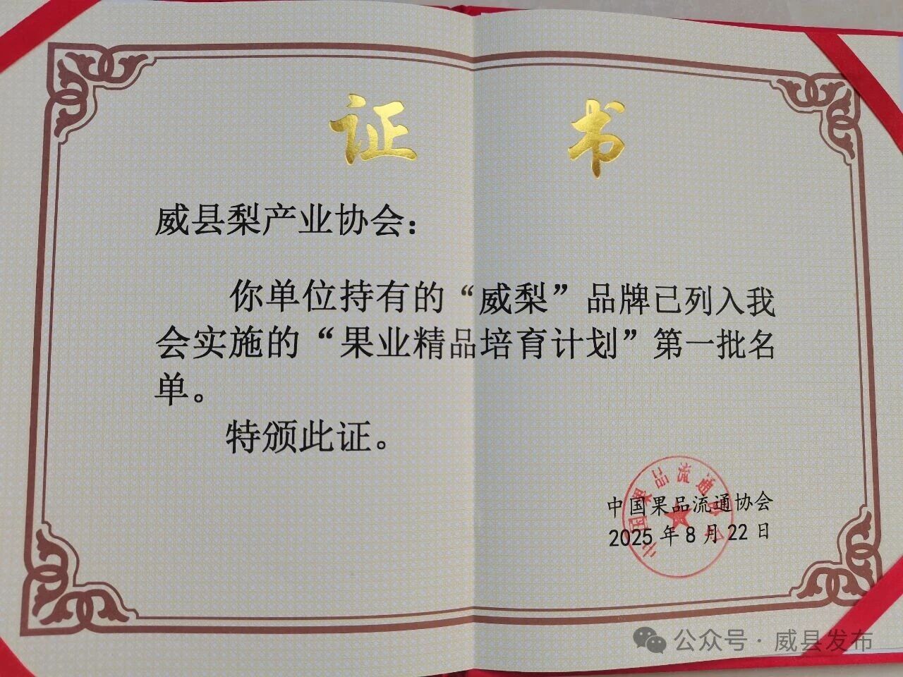 微信图片_2025-09-01_102458_133.jpg