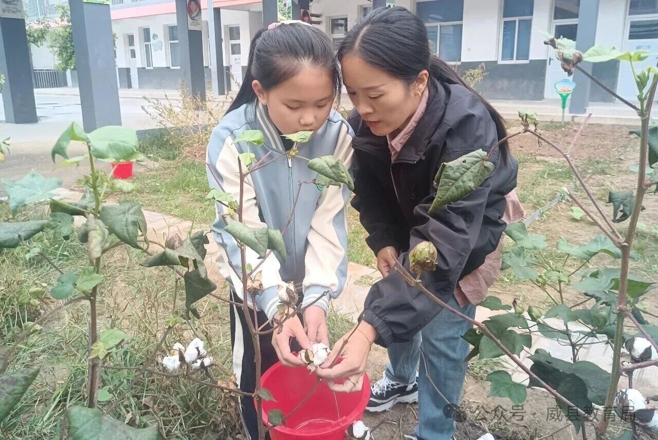 微信图片_2025-10-13_161327_838.jpg