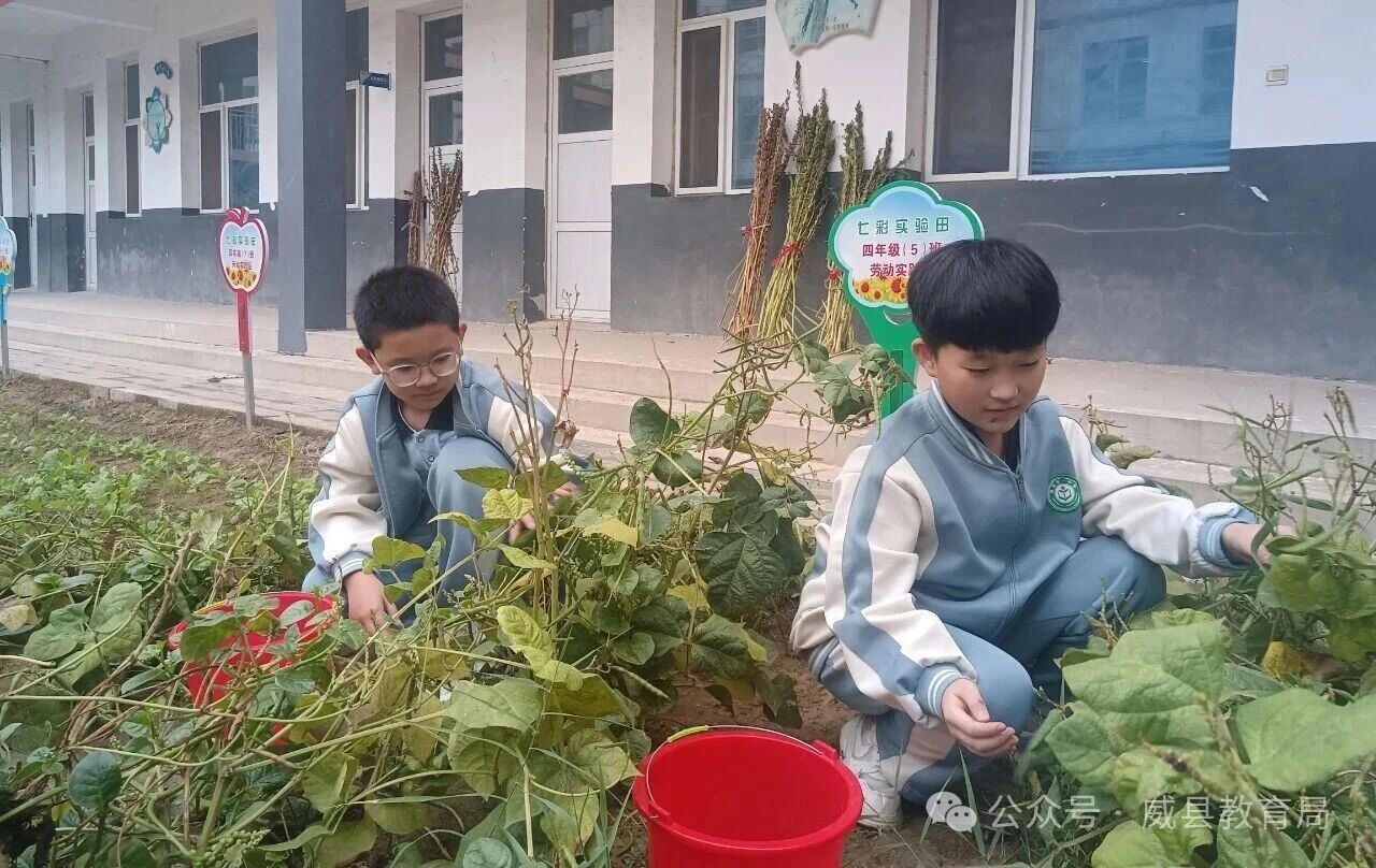 微信图片_2025-10-13_161337_094.jpg