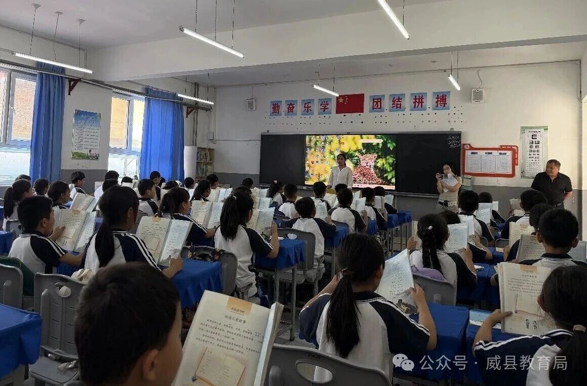 微信图片_2026-06-04_091452_232.jpg