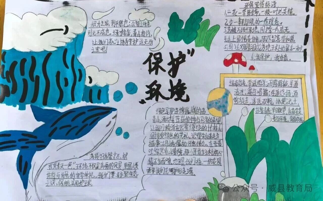 微信图片_2026-06-15_103910_405.jpg