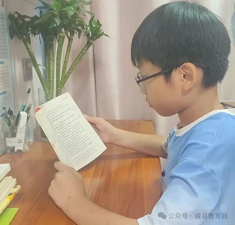 微信图片_2026-08-13_160851_279.jpg